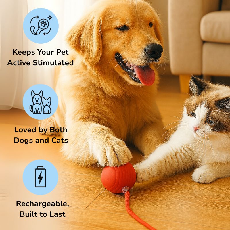 FurFun - Dogs and Cats Smart Ball