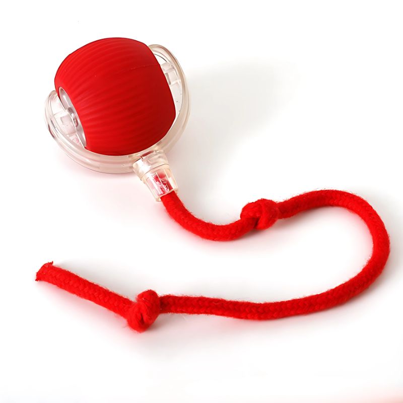 FurFun - Dogs and Cats Smart Ball
