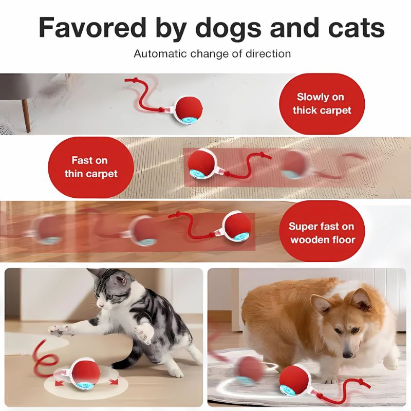 FurFun - Dogs and Cats Smart Ball