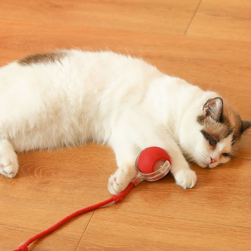 FurFun - Dogs and Cats Smart Ball