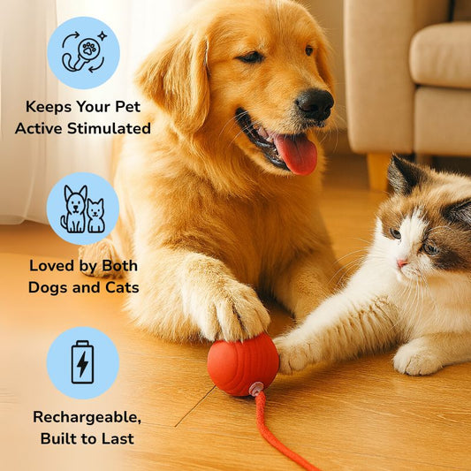 FurFun - Dogs and Cats Smart Ball